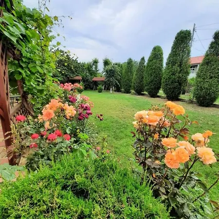 Guest house Casa Adina